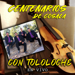 Bohemio de Aficion (Tololoche en Vivo)