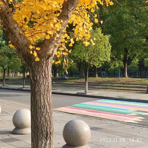 会魔法的老人（Cover 法老）