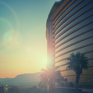 抚慰的豪华回忆