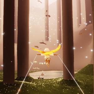 夏风，遗憾与吹散