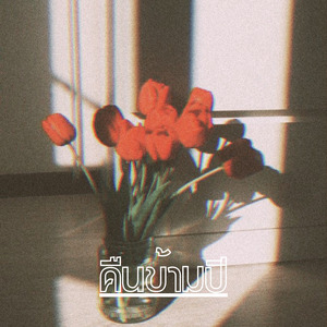 คืนข้ามปี