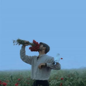 withered roses