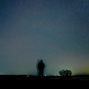 Быдло/Фемка