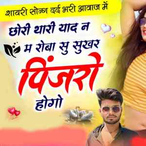 Chhori Thari Yad N M Roba Su Sukhar Pinjro Hogo