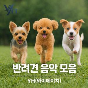 너는 내 마음에