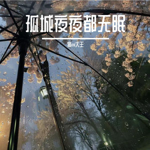 孤城夜夜都无眠