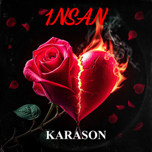 1NSAN