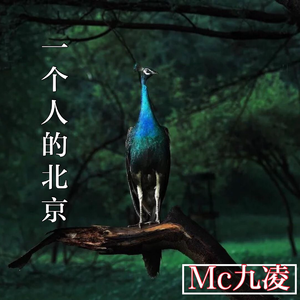 运动嗨曲（DJ版）