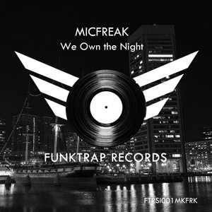 We Own The Night (Original Mix)