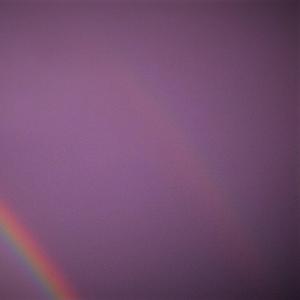 Ballad Of The Purple Goldfish