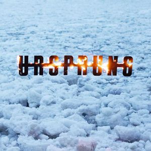 Nightbirds (Original Mix)