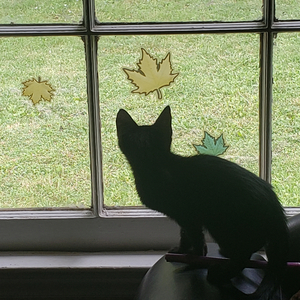 Window (feat. BEAMO)