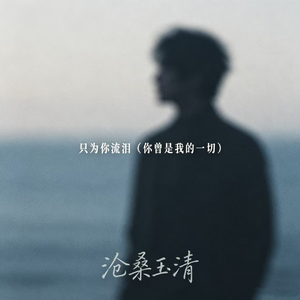 只为你流泪（你曾是我的一切）