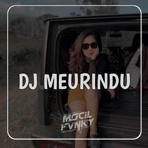 DJ LON RINDU LON RINDU KANDA SABE LON RINDU