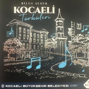 Kura Kağıtları Mustafa Arı