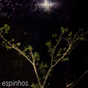 Espinhos