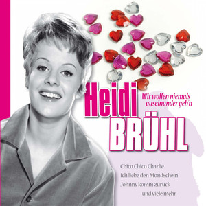 Ich liebe den Mondschein