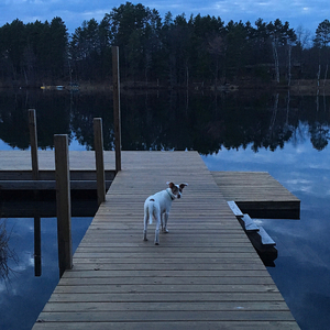 Nights That Won’t Happen (Cover)