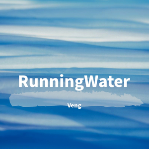 DJ Shog-RunningWater（Veng Bootleg）（Veng remix）