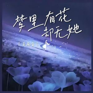 梦里有花却无她