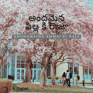 Andhamaina ammai ki raja