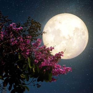 When We Fall in Love Again