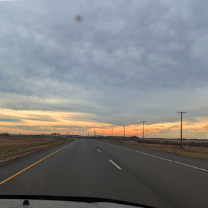 Sixteen Dollar Sweater