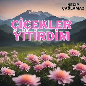 Çiçekler Yitirdim