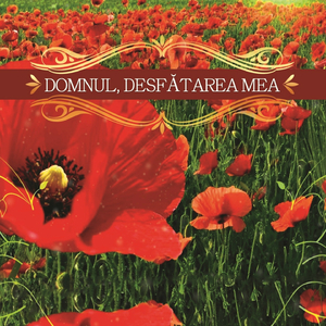 Binecuvantat Sa Fie Domnul