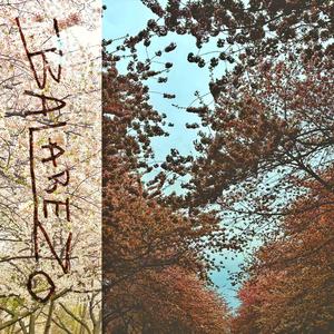 NOAGARRESMISHUEVADAS