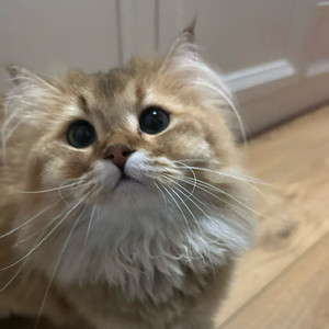 你和那个谁共同悸动的时刻