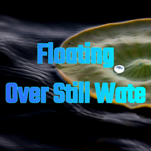 Floating Over Still Wate