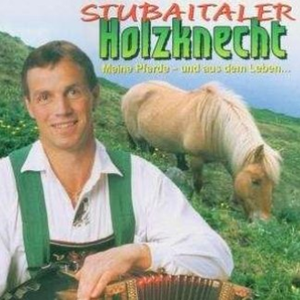 Es Hängt ein Pferdehalfter an der Wand