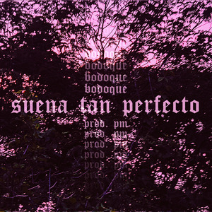 Suena Tan Perfecto