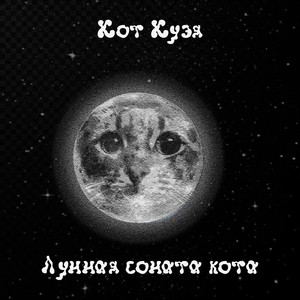 Лунная соната кота