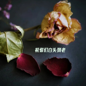 祝你们白头到老