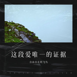 琥珀约定