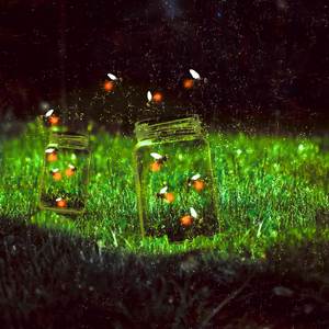 Elizabeth Taylor (Slowed + Rain)