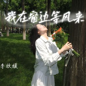 我在窗边等风来
