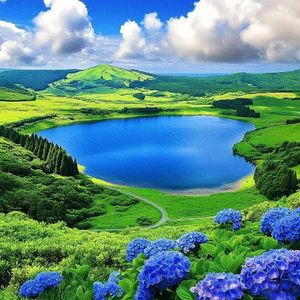 漫长旅途的故事