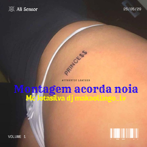 Montagem acorda noia