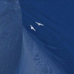 紅蓮華-LiSA(小提琴版)