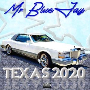 Texas 2020 (feat. S.U.C Lil Randy) [Slowed and Chopped] (Chopped)