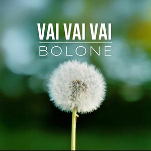 Vai vai vai