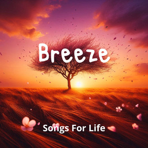 Serenade of Stillness