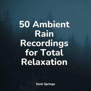 Beach, Waves, Lapping, Medium