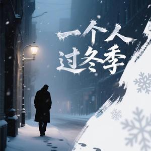 一个人过冬季（深情男声版）