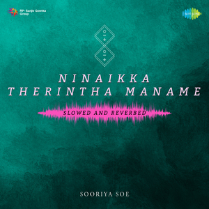 Ninaikka Therintha Maname - Slowed and Reverbed