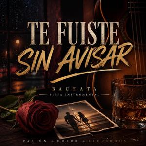 te fuiste sin avisar