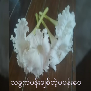 သခွက်ပန်းချစ်တဲ့မပန်းဝေ